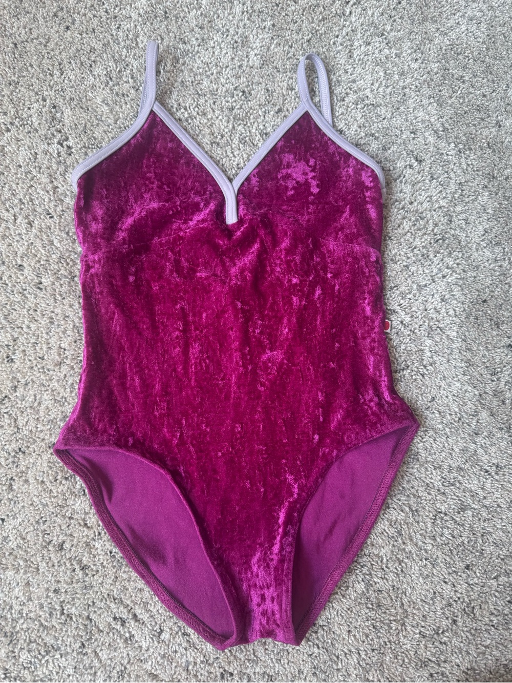 Yumiko Velvet Leotard in Deep Magenta with Light Trim